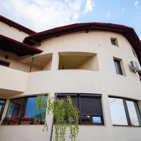 Вилла Casa Avram Рымнику-Вылча Экстерьер фото