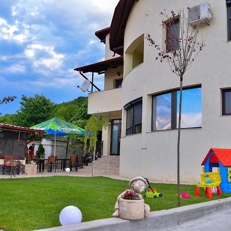 Вилла Casa Avram Рымнику-Вылча Экстерьер фото