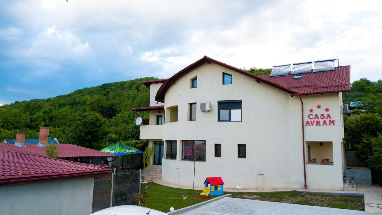 Вилла Casa Avram Рымнику-Вылча Экстерьер фото